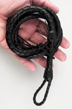 MINI Bullwhip_01