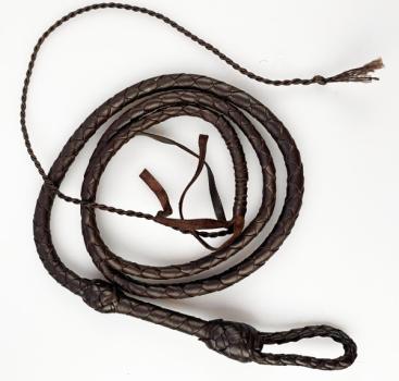 MINI Bullwhip_02