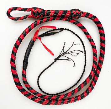 MINI Bullwhip_04