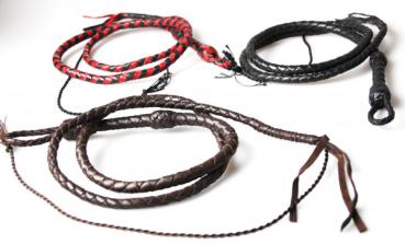 MINI Bullwhip_05